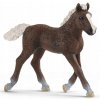 Schleich 13899 Schwarzwaldské hříbě