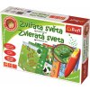 Trefl Malý objaviteľ: Zvieratá sveta + magické pero