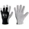 Canis CXS TECHNIK ECO