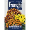 Franchi Aksamietnica nízka – VIACFAREBNÁ ZMES – semená