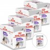 Royal Canin Sterilised Dog Loaf 48 x 85 g