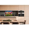DIMEX | Dibond doska za kuchynskú linku | DBW-08060-131 Pole tulipánov | 80 x 60 cm + Dibond obkladová doska Dimex do kuchyne Pole tulipánov v rozmere 80 x 60 cm