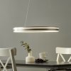 Q-Smart-Home Paul Neuhaus Q-VITO závesné LED 59 cm oceľ - 8411-55