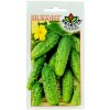 Uhorky šalátové Delikates: Cucumis sativus L. - 4g