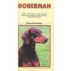 Doberman