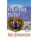 Hriešne puto - Iris Johansenová