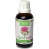 fin Cardumis