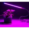 LEDMEGROW Malé prenosné USB GROW svetlo 5W