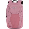 Husky Nery 20 Faded Pink 20 L