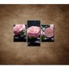 Kvety kamélie a kamene - 3dielny 90x60cm