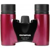 Olympus 8x21 RC II