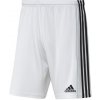 Adidas Squadra 21 Short M GN5773 (69583) S