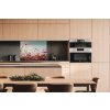 DIMEX | Dibond doska za kuchynskú linku | DBW-08060-126 Jarné pole | 80 x 60 cm + Dibond obkladová doska Dimex do kuchyne Jarné pole v rozmere 80 x 60 cm + lepidlo zadarmo