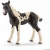 Schleich 13803 domáce zvieratko kôň Pinto žriebä