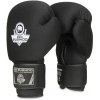 Boxerské rukavice DBX BUSHIDO DBX-B-W EverCLEAN 10oz
