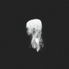 Clan - Seelie / Vinyl [LP]