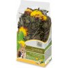 JR Farm krmivo s bylinkami 0,1 kg škrečok, kosatka, králik, myš, myšiak, potkan, činčila, morča, veverička