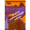 Labyrint nedokončených setkání - František Tichý