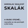 A bude stejně... Nesnažte se nás pochopit a jiné texty - Miroslav Skalický Skalák