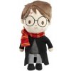 Rainbow Harry Potter