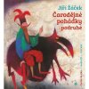Čarodějné pohádky podruhé (Jiří Žáček - Petr Kostka) - CD