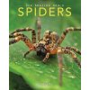 Spiders: Amazing Pictures & Fun Facts on Animals in Nature De Silva KayPaperback