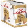 Royal Canin kapsička Yorkshire terrier multipack 12x85g