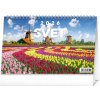 NOTIQUE Stolový kalendár Svet 2026, 23,1 x 14,5 cm