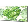Foto obraz tlačený na plátne Tropické lístia 100x50 cm