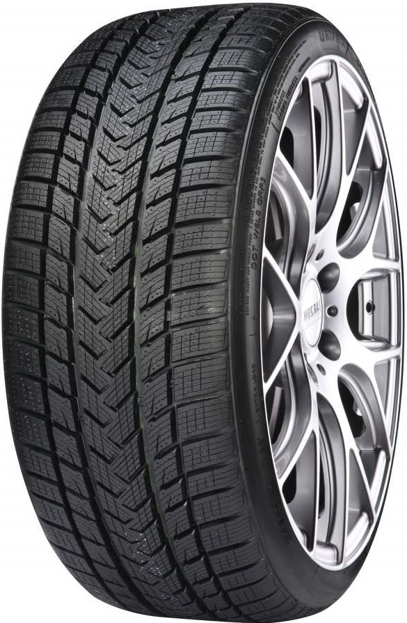 Gripmax Suregrip Pro Winter 205/55 R17 95V