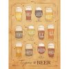 Ceduľa Types of Beer 30cm x 20cm Plechová tabuľa