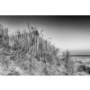 DIMEX | Vliesové fototapety na stenu Ohromujúca východ slnka MS-5-3219 | 375 x 250 cm | biela, čierna + Vliesová fototapeta na stenu DIMEX Ohromujúca východ slnka MS53219 v rozmere 375 x 250 cm