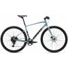 Giant FastRoad AR 2 L Glacier Silver