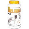 Gelacan Plus Profi 1000g