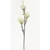 KS MAGNÓLIA BIELA 82cm