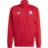 adidas FC Bayern DNA TT červená