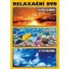 FILM - Relaxační DVD / Západ slunce / Akvárium / Letní obloha [DVD]
