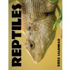 Reptiles 2026