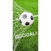 Detexpol Osuška Futbal gól 70x140 cm