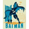 Zuty - Kreslený batman III, 40×50 cm, bez rámu a bez vypnutí plátna (8596530135647)
