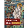 Panorama Bible - Starý zákon - Stephen J. Binz