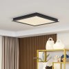 Lucande Smart LED stropné svietidlo Leicy black 65 cm RGB CCT - 10013025