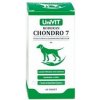 Univit, Česká republika Roboran Chondro 7, 60 tbl.