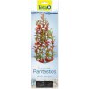 JK Animals Red Ludwigia 25-28 cm