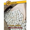 Fazuľa Coco White - kríčková