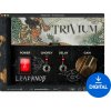 Bogren Digital Trivium Ampknob Lead (Digitálny produkt)