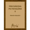 Prechádzka po Patagónii II