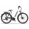 Ecobike LX300 17