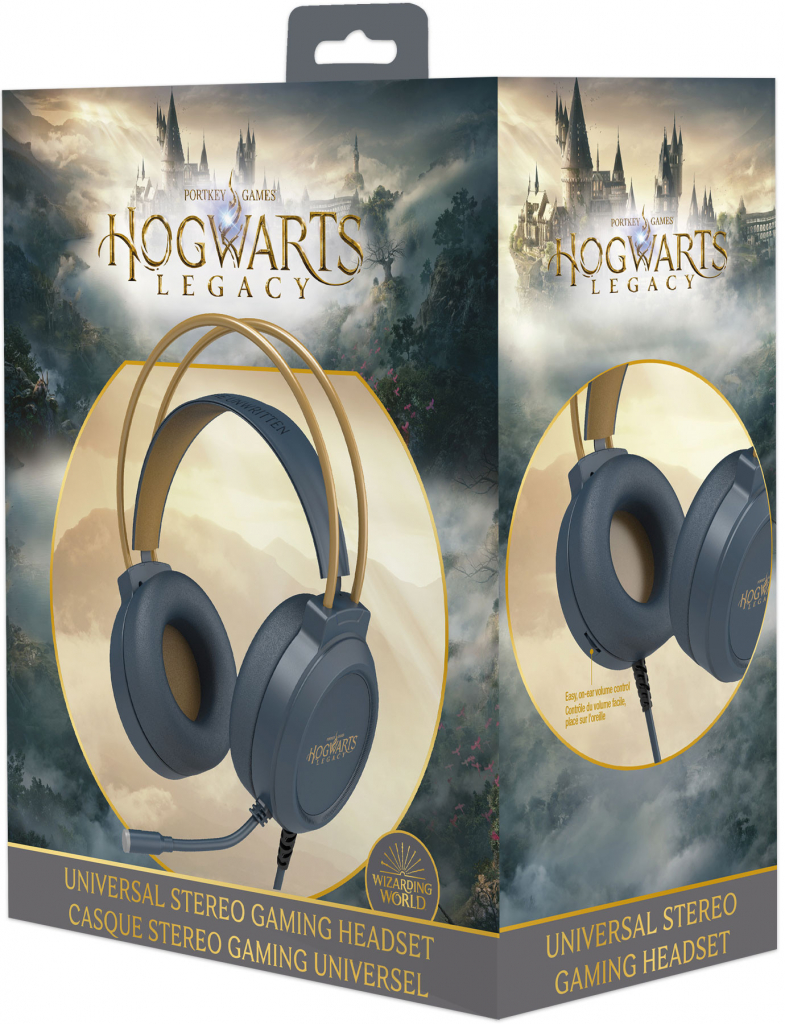 Hogwarts Legacy Switch