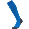 Puma Football LIGA socks
